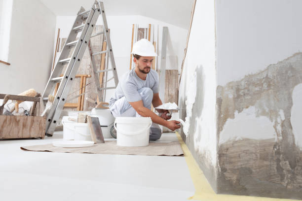 Best Attic Mold Removal  in Lopezville, TX